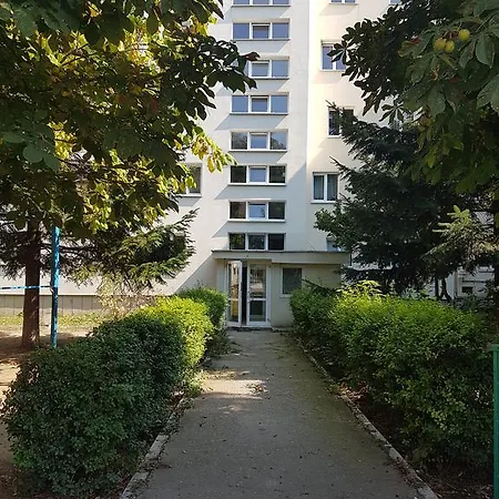Lux Taberei 클루지나포카