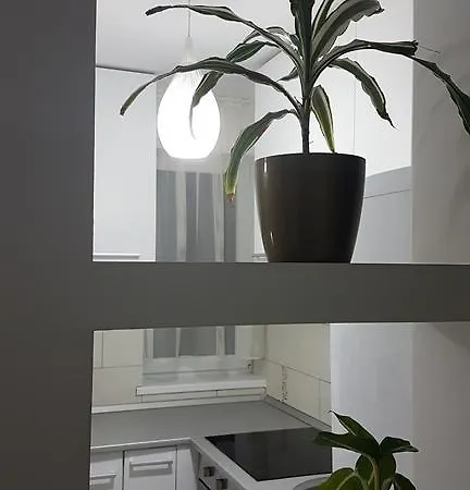 Lux Taberei 클루지나포카