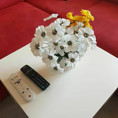 Lux Taberei 아파트 클루지나포카